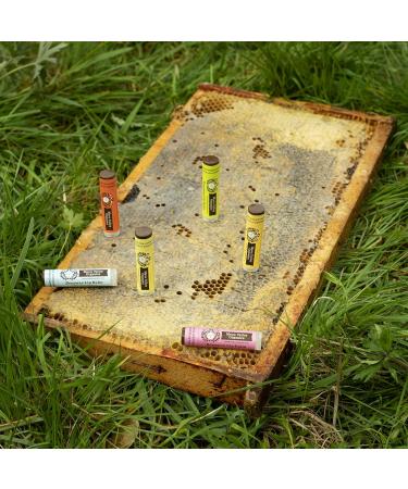 Moon Valley Organics Beeswax Lip Balm for Moisturizing Lips and Cuticles (SWEET HONEY 1-Pack) - Buy Online on GoSupps.com