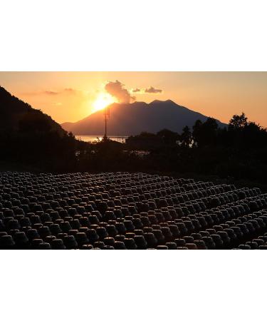 KAKUIDA Red Yeast Rice Black Vinegar (Beni Koji) 16.9 Fl Oz - 500ml - Buy Online on GoSupps.com