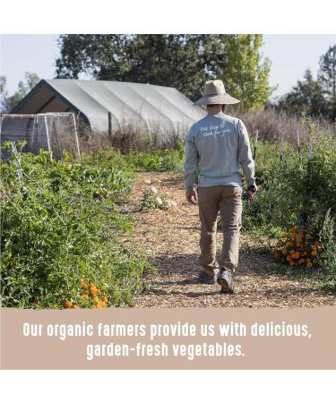 Amy s Kitchen Organic Minestrone Soup Vegan Dairy-Free Lactose-Free Soy-Free Corn-Free Tree Nut-Free Kosher Plant-Based 12-pack (398ml per can) - Buy Online on GoSupps.com