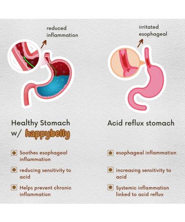 Acid & Indigestion Relief | Doctor-Formulated Antacid Alternative with Ginger Curcumin & Spearmint - 30 Servings - Buy Online on GoSupps.com