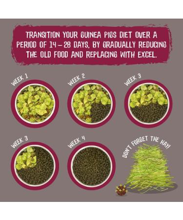 Burgess Excel Indoor Guinea Pig Nuggets 1.5kg - High-fiber Diet for Healthy Indoor Pets - Buy Online on GoSupps.com
