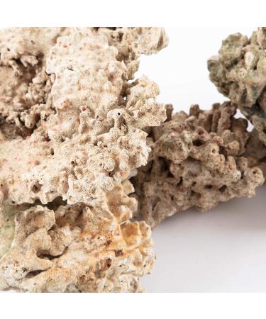 Aquarium Dried Reef Rock Mixed Pack (5kg) 5 kg (Pack of 1) - Buy Online on GoSupps.com
