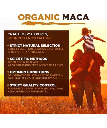 Organic Maca Premium 4 Root Powder 500g - Superfoods 500g (Pack of 1) - Buy Online on GoSupps.com