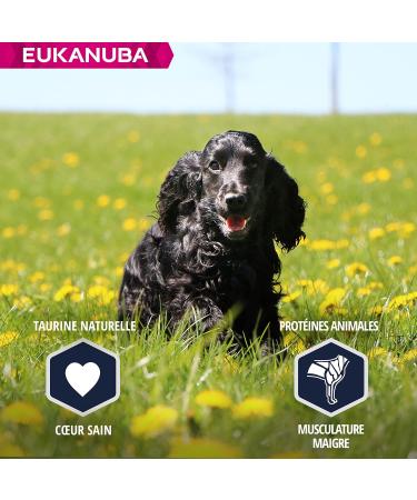 Eukanuba Dog Dry Food Cocker Spaniel Chicken 7.5kg - Buy Online on GoSupps.com