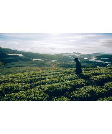 Dethlefsen Balk teemando 1 kg green red bosh tea mixture Orient lemonfig nut flavored - Buy Online on GoSupps.com