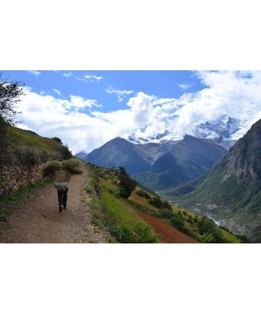 Buy Green Coffee Nepal Mt. Everest Coffee (1000g) - Premium Quality International Shipping - Buy Online on GoSupps.com