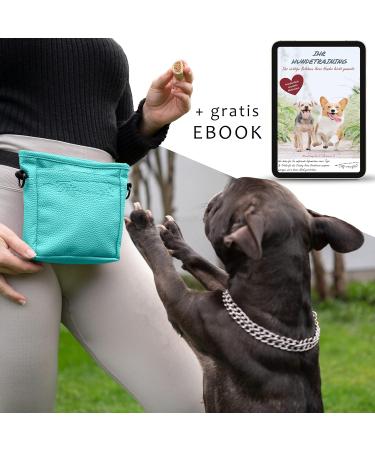 Ostfriesenpfoten Frieda Dog Treats - High-Quality Synthetic Leather Feeding Bag in Turquoise Size M - Easy Open Single-Handed Lock Gassitasche - Buy Online on GoSupps.com