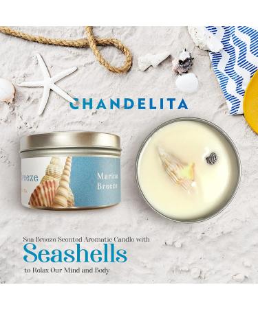 Chandelita Sea Breeze Fragrance Candle | Natural Soy Wax & Mussels | Relax & Meditate for Well-Being - Buy Online on GoSupps.com