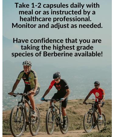 Blue Organix Berberine with Milk Thistle 500mg Formula HCL Complex Supplement with Silymarin for Better Absorption 90 Vegetarian Capsules 1 Bottle Overall Health Support - Buy Online on GoSupps.com