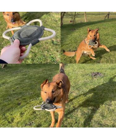 Sniffing Friends Dog Toy - Bella Leather Frisbee with Rope for Dogs - Ideal Throwing Toy for Playtime - Buy Online on GoSupps.com