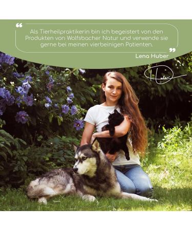 BARF Flake Mix for Dogs - 100% Natural Garden Vegetables & Herbs Grain Free Supports Digestion & Health 500g - Buy Online on GoSupps.com