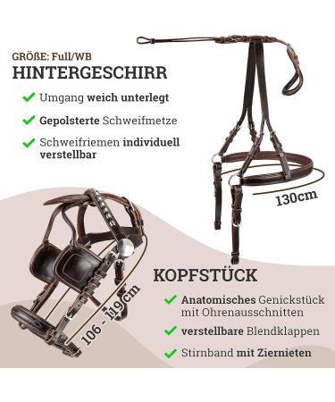 Buy Esposita Single-Chip Professional Carriage Dishes for Shetty Pony Horse Mini Shetty to XL Cold Blood - Perfect Feeders & WB Braun Options - Buy Online on GoSupps.com