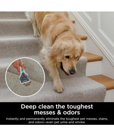 Shark CarpetXpert Deep Clean Pro Formula for Shark Upright & Portable Carpet Cleaners eliminates Tough pet Messes and odours 48oz EXCM48C (Canadian Version) - Buy Online on GoSupps.com