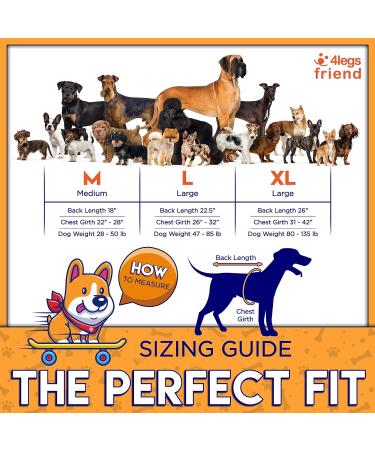 Cooling Vest - Breathable & Lightweight Evaporation Jacket for Hot Summer Days | Adjustable with Reflector Strips for High Visibility | Men's Orange/Gray Size M - Buy Online on GoSupps.com