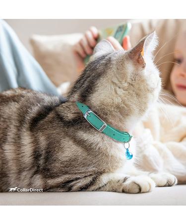 CollarDirect Leather Cat Safety Collar with Elastic Strap and Bell | 9-11 Inch | Black Blue Red Orange Lime Green Mint Green - Buy Online on GoSupps.com