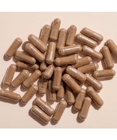Plant Therapy Lion's Mane Mushroom Supplement Capsules Manufactured in USA 4 Month Supply Supports Brain Health Mental Clarity & Memory Supplements for Women & Men 120 Vegetarian Capsule - Buy Online on GoSupps.com