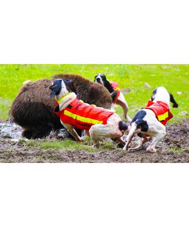 CANIHUNT DOG PROTECTION VEST Armor v2 - Ultimate Dog Safety Gear for All Breeds | International Shipping Available - Buy Online on GoSupps.com