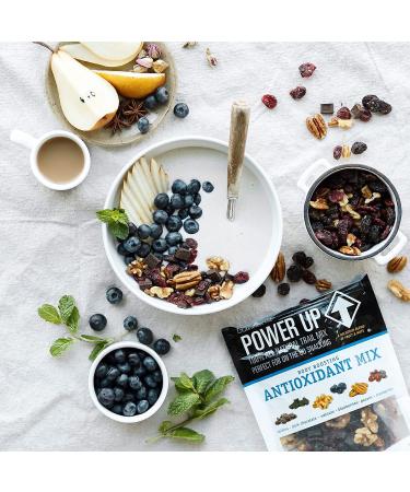 Power Up Body Boosting Antioxidant Mix - 13 oz (369 g) | Best Superfood Blend for Vitality - Buy Online on GoSupps.com