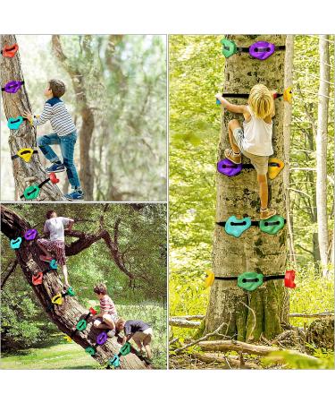 NAQIER Ninja Tree Climbing Holds with Ratchet Straps - Outdoor Ninja Warrior Course for Kids - Buy Online on GoSupps.com