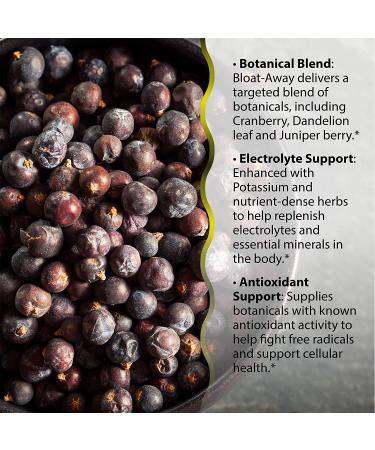 Irwin Naturals Bloat-Away 60 Liquid Soft-Gels | Natural Bloating Relief Supplement - Buy Online on GoSupps.com