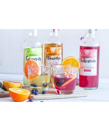 BOISSON COLOGIQUE KOMBUTXA TE KOMBUCHA - 6 bouteilles 750 ml Th ferment bio nergie cologique combustion des graisses sans sucre ajout (Pack Ginger + Hibiscus) Pack Gingembre et Hibiscus 6u - Buy Online on GoSupps.com