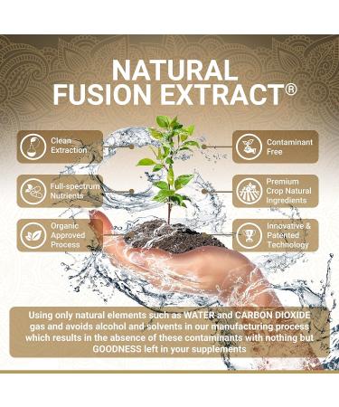 Certified Organic Turmeric Capsules with Black Pepper, Ginger, and High Strength Curcumin - 60 Count - Buy Online on GoSupps.com