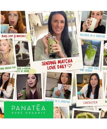 PANATEA Organic Matcha Green Tea Powder - 1 LB Culinary Grade | 100% Pure Premium Matcha for Lattes, Smoothies, Baking | 16 Oz Tin - Buy Online on GoSupps.com