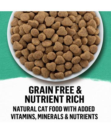 Beyond Grain Free Natural Dry Cat Food Wild-Caught Whitefish & Free Run Egg - 5 kg Bag 5 kg (Pack of 1) - Buy Online on GoSupps.com