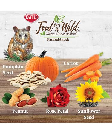 Kaytee Wild Natural Snack - Healthy Treats for Pets - Buy Online on GoSupps.com