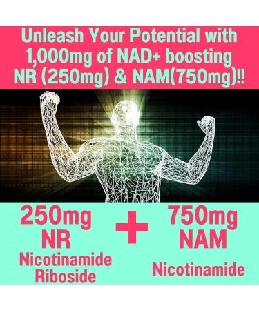 SHIZAM Nicotinamide Riboside NR NAM Resveratrol Gummies 1000mg NAD+ NAD + Plus Nrf2 Activator Booster w Pure Niacinamide Vitamins B3 Capsules Pills Powder Supplements Alt NDA Regenerator 500mg - Buy Online on GoSupps.com