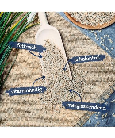 Lyra PET 10 kg Sunflower Seeds | Premium Wild Bird Feed | Year-Round Nutrition | Ideal for Young Birds | Shell-Free Energy Source | Summer & Winter Feed - Buy Online on GoSupps.com