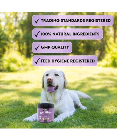 VitaPup Itch & Allergy Treats for Dogs - Seasonal Itching Relief - Stop Licking & Scratching - Immunity Support - Anti-Allergy Formula - Buy Online on GoSupps.com