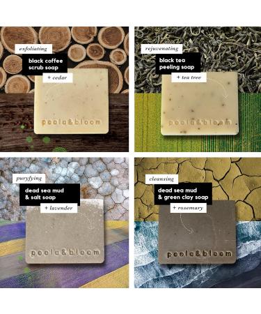 Natural Fixed Shower Gel & Soap for Men & Women | Black Tea & Coffee Peeling | Dead Sea Mud & Salt - Rejuvenating Body Soap - Buy Online on GoSupps.com