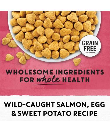 Beyond Grain Free Natural Dry Cat Food Indoor Cat Wild-Caught Salmon & Egg - 2.26 kg Bag 2.26 kg (Pack of 1) - Buy Online on GoSupps.com