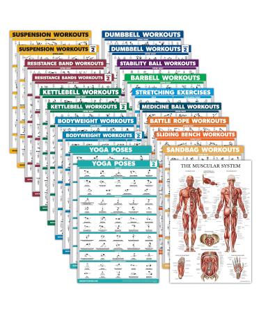 Palace Learning 20 Pack - Exercise Poster Set: Dumbbell Suspension Battle Rope Stretching Bodyweight Barbell Yoga Exercise Ball Muscular Kettlebell Resistance Bands and More LAMINATED 18" x 24" - Buy Online on GoSupps.com
