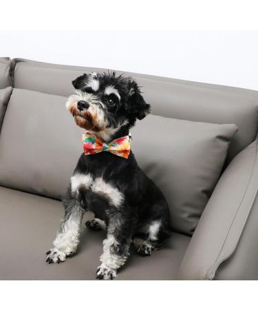 Buy Unique Style Paws Dog Collar - Colorful Adjustable Flower Bowtie Collar for Small Dogs (XS 8-12in) - Comfortable Cotton with Metal Buckle - Buy Online on GoSupps.com