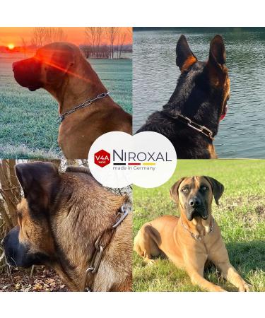 Rustproof Stainless Steel Dog Training Chainstab Collar - 49cm Long 5mm Thick - Durable & Effective Training Solution - Buy Online on GoSupps.com