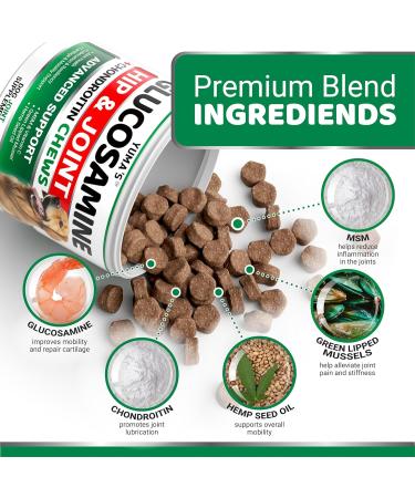 Hip & Joint Chewables for Dogs - Glucosamine MSM Turmeric Chondroitin Green-Lipped Mussels - Formulated by Vets - USA Made - Buy Online on GoSupps.com