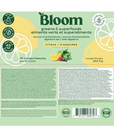 Bloom Nutrition Super Greens Powder Smoothie & Juice Mix - Probiotics for Digestive Health & Bloating Relief for Women Enzymes with Superfoods Spirulina & Chlorella for Gut Health (Citrus) - Buy Online on GoSupps.com