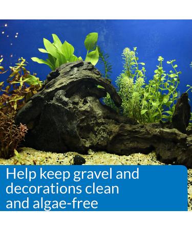 API Stress Zyme Bacterial Cleaner 16 oz - Freshwater & Saltwater Aquarium Water Cleaning Solution - Buy Online on GoSupps.com