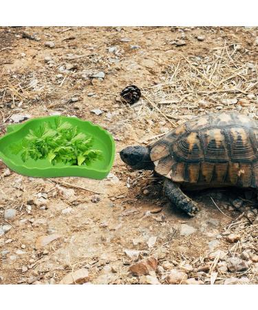 Reptile Leaf Food Water Bowl Green Tortoise Water Dish Food Feeding Plate Turtle Terrarium Accessories Outside for Lizards Hamsters Snakes Pet Aquarium Ornament (Large) - Buy Online on GoSupps.com