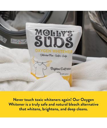 Molly's Suds Natural Laundry Stain Remover Spray | Gentle Yet Powerful,  Great for Baby & Pet Stains | Earth Derived Ingredients | 16 oz, 2 Pack