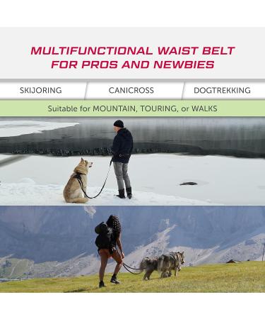 LASALINE Canicross Dog Trekking Belt Black - Buy Online on GoSupps.com