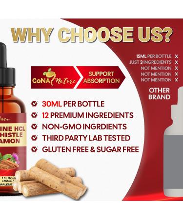 12in1 Berberine Liquid Drops with Milk Thistle Ceylon Cinnamon Bitter Melon Turmeric Aloe Vera Ginger Slippery Elm Marshmallow Root & More to Digestive Health- 30 Days Supply - Buy Online on GoSupps.com