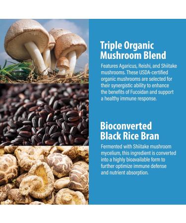 NANOWELL Fucoidan M Brown Seaweed Complex with Black Rice Bran Mushroom Blend & Root Extracts 60 Capsules | Gluten-Free Made in USA - Buy Online on GoSupps.com