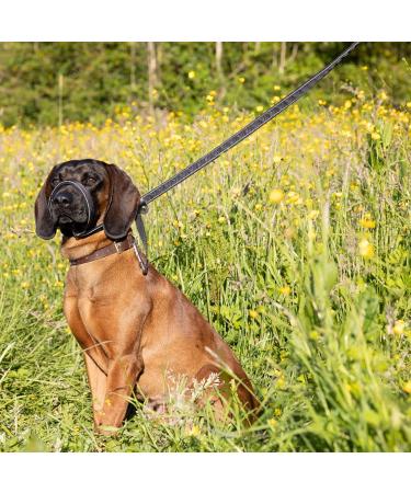 Reflective Total Pet Figure of 8 Dog Lead - Anti-Pull Slip Lead with Padded Nose Support | 180cm - Buy Online on GoSupps.com