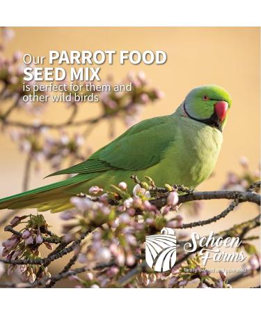 Schoen Farms Parrot Food Seed Mix (7 LBS) 3.18 kg (Pack of 1) - Buy Online on GoSupps.com