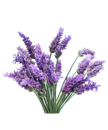 Beessential Natural Body Wash Lavender | Sulfate-Free Bath and Shower Gel with Essential Oils for Men & Women 8 oz Lavender And Bergamot 8 Fl Oz (Pack of 1) - Buy Online on GoSupps.com