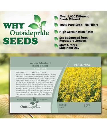 Sinapis Alba Yellow Mustard Herb Garden Seeds - 5000 Seeds for Culinary Spice & Flavoring - Buy Online on GoSupps.com