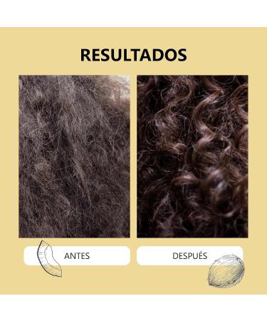 Made in France Professional Curl Activator Oil for Curly Hair AntiFluff Effect Ultra Moisturizing Conditioner & Softener 2000 ml - Buy Online on GoSupps.com